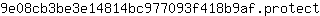 9***t