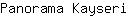 P***i