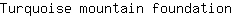 T***n
