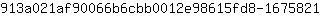 9***1