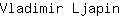 V***n
