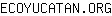 E***G
