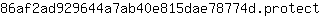 8***t