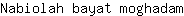 N***m