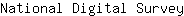 N***y