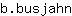 b***n