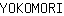 Y***I