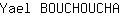 Y***A
