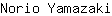 N***i