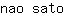 n***o