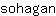 s***n