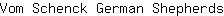 V***s