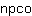 n***o