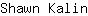 S***n