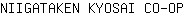 N***P