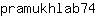 p***4