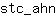 s***n
