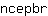 n***r