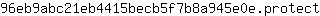 9***t
