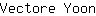V***n