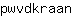 p***n