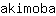 a***a