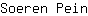 S***n