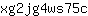 x***c