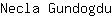 N***u