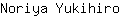 N***o