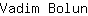 V***n