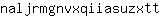 n***t
