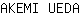 A***A