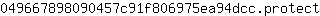 0***t