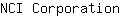 N***n