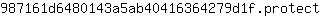 9***t