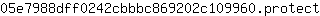 0***t