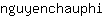 n***i