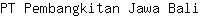 P***i
