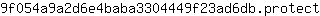 9***t