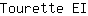 T***I