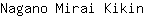 N***n