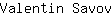 V***v