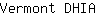 V***A