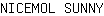 N***Y