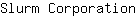 S***n