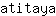 a***a