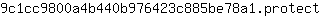 9***t