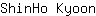 S***n