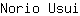 N***i